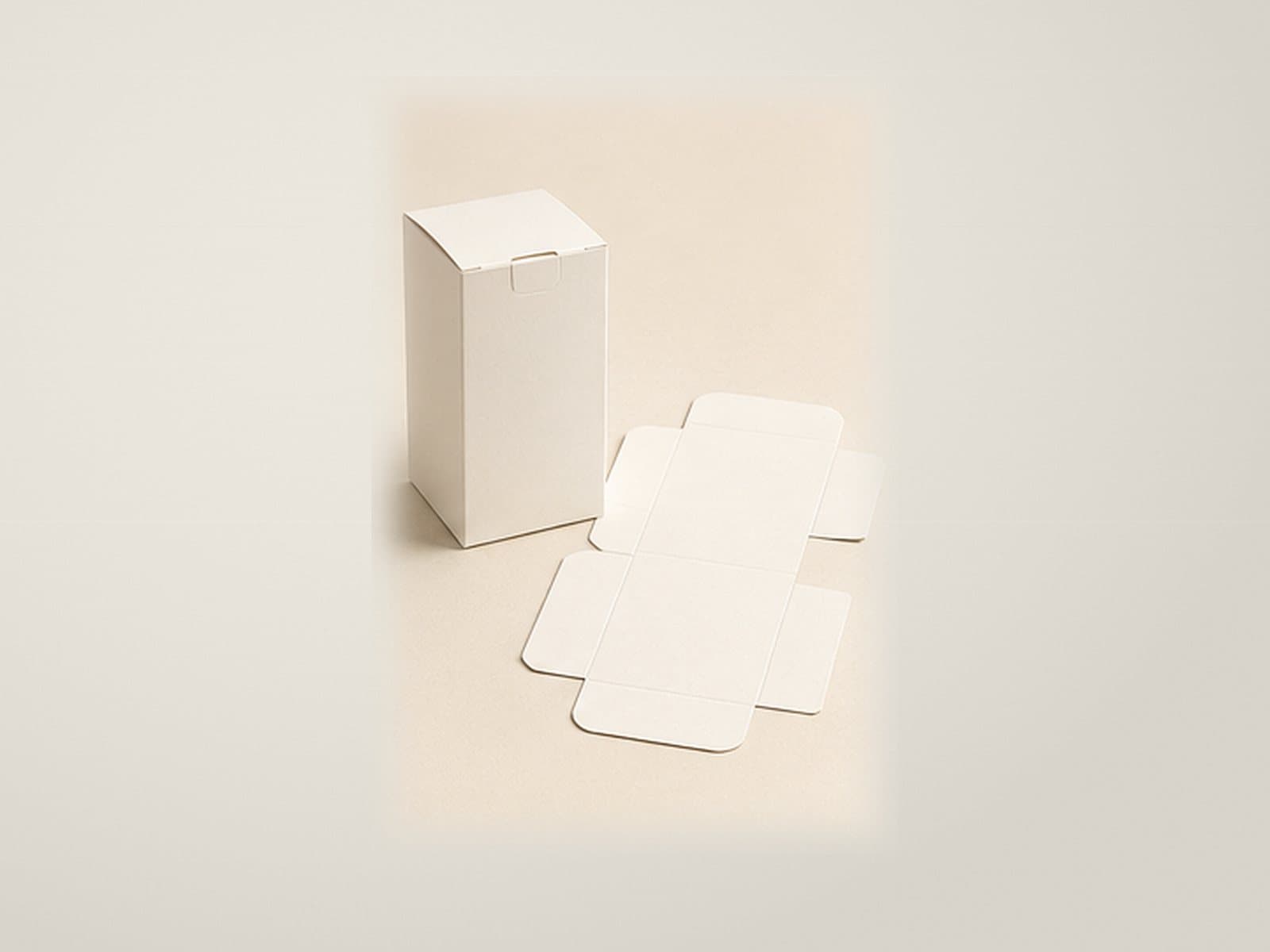 Folded paperboard carton shown as a compact retail packaging structure